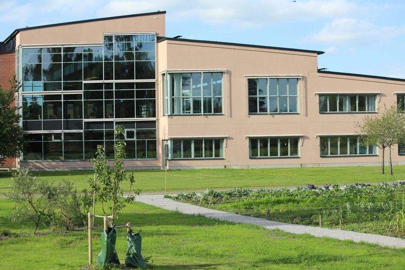 Colegio Horizonte Mediterráneo 7